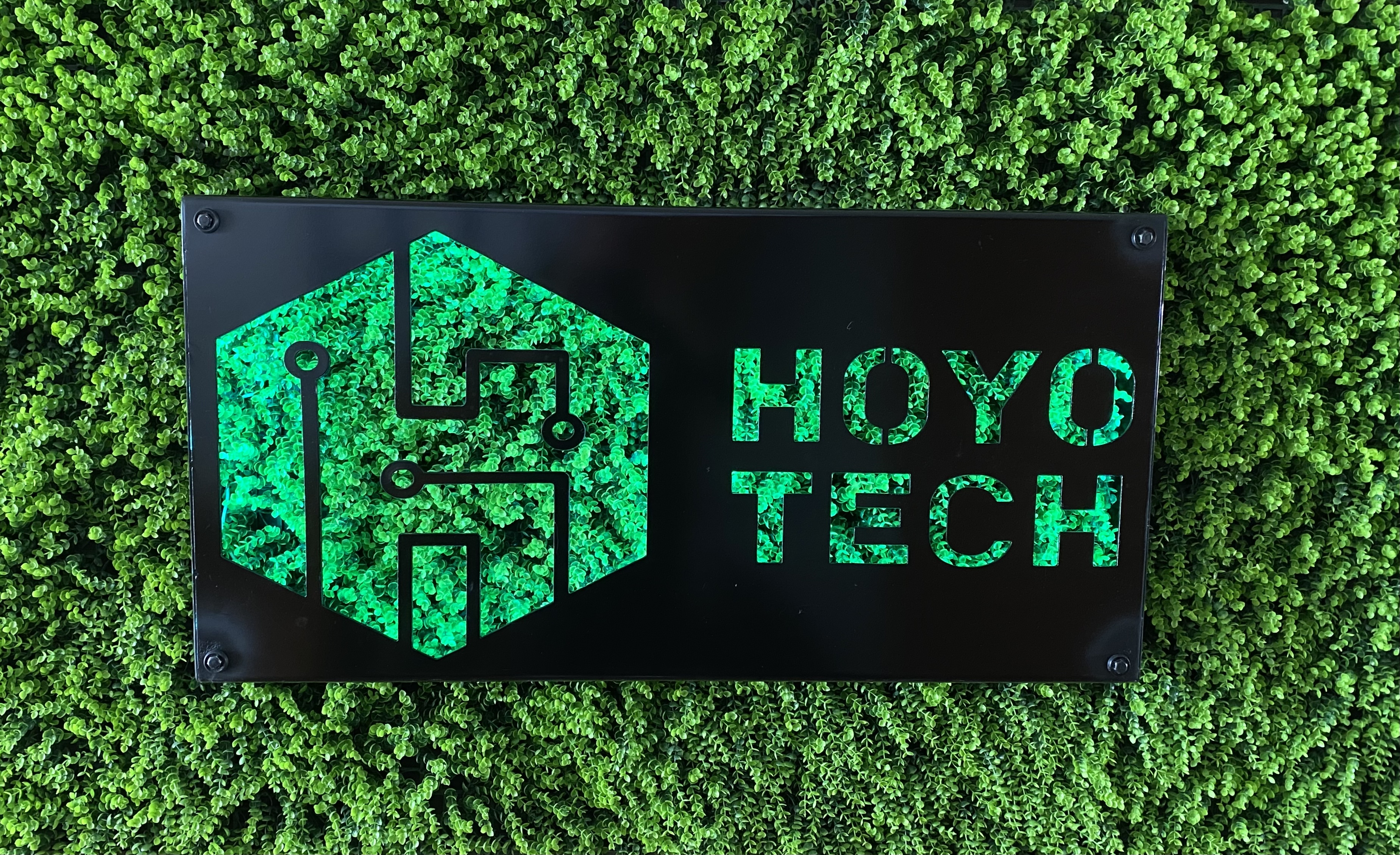 Hoyo Tech office wall